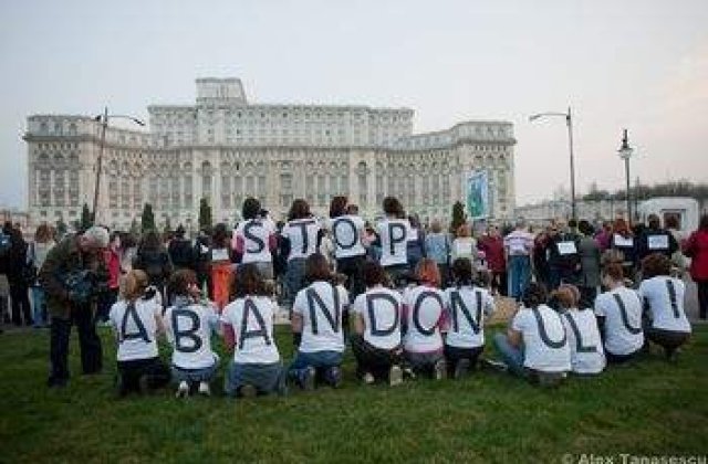 Cainii fara stapani, eutanasiati dupa 30 de zile la adapost?