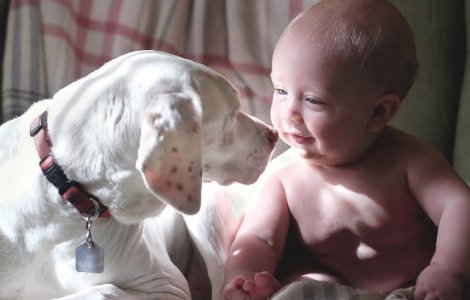 Nu avea incredere in nimeni pana l-a intalnit pe acest bebelus