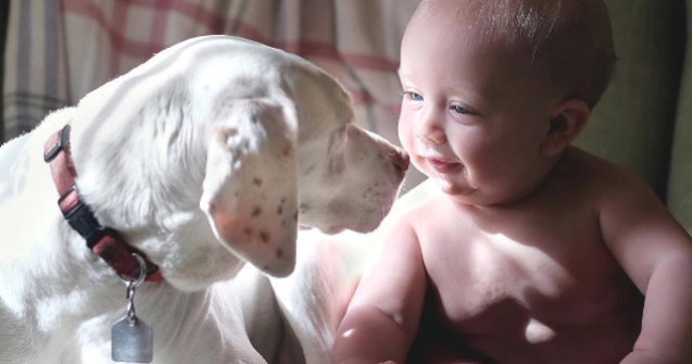 Nu avea incredere in nimeni pana l-a intalnit pe acest bebelus