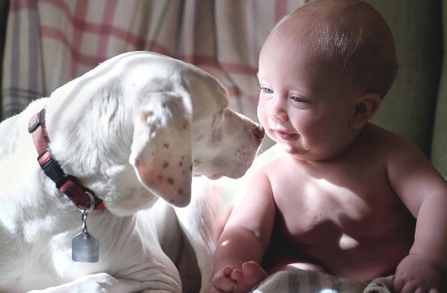 Nu avea incredere in nimeni pana l-a intalnit pe acest bebelus