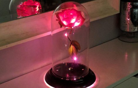  Top  Au ridicat stacheta! 10 idei de cadouri care ar impresiona orice femeie