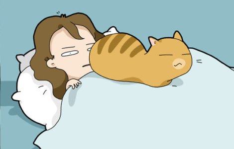  Top  10 imagini care demonstreaza ca pisicile sunt cele mai... nesuferite animale de companie