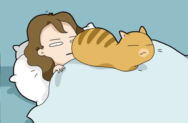 10 imagini care demonstreaza ca pisicile sunt cele mai... nesuferite animale de companie