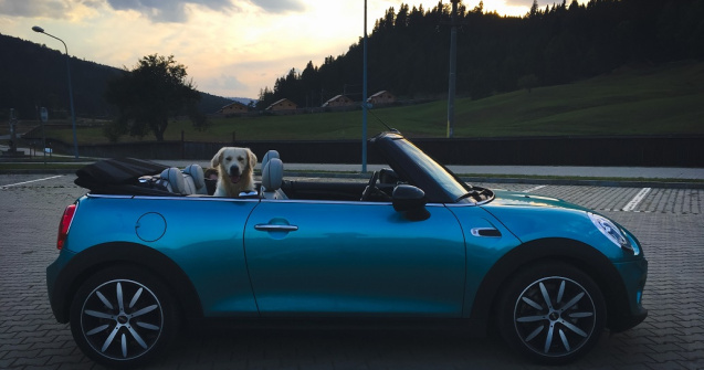TEST-DRIVE. MINI Cabriolet Cooper este libertate si fericire