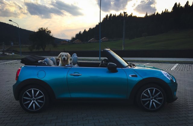 TEST-DRIVE. MINI Cabriolet Cooper este libertate si fericire