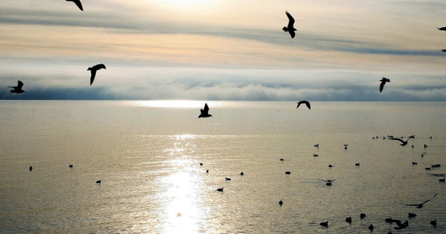 Si-a ucis intentionat cei trei copii aruncandu-se cu masina in lac