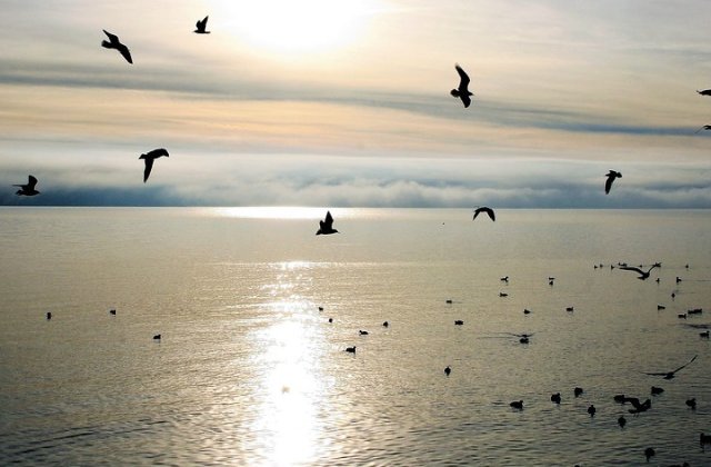 Si-a ucis intentionat cei trei copii aruncandu-se cu masina in lac