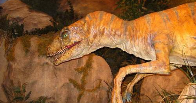 De ce erau asa de suparati dinozaurii in preistorie?