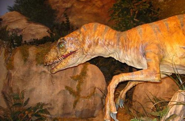 De ce erau asa de suparati dinozaurii in preistorie?