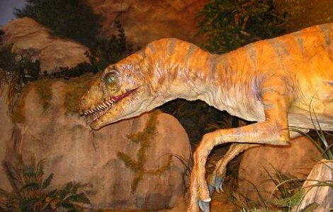 De ce erau asa de suparati dinozaurii in preistorie?