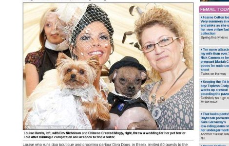 A cheltuit o avere pe nunta cainelui sau