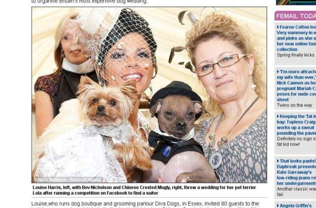 A cheltuit o avere pe nunta cainelui sau