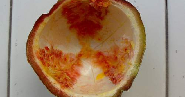 Urme de iod radioactiv depistate in spanacul din China