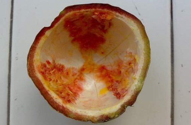 Urme de iod radioactiv depistate in spanacul din China