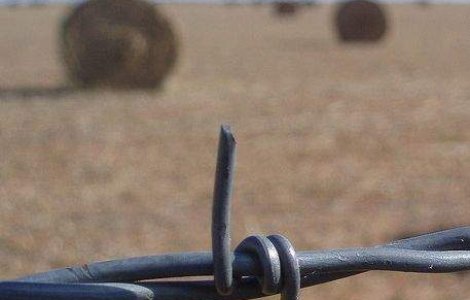 Zeci de cadavre, descoperite la o ferma din Mexic