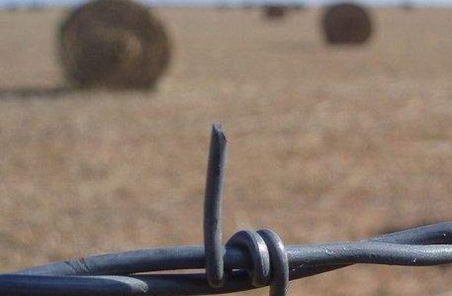 Zeci de cadavre, descoperite la o ferma din Mexic