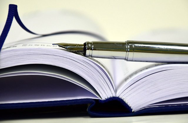 CIA a publicat jurnalul lui Bin Laden