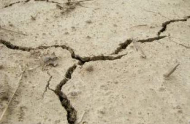 Japonia: Patru morti si peste o suta de raniti in urma cutremurului