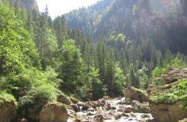 Managerii recomanda: Ce sa vizitezi in Romania