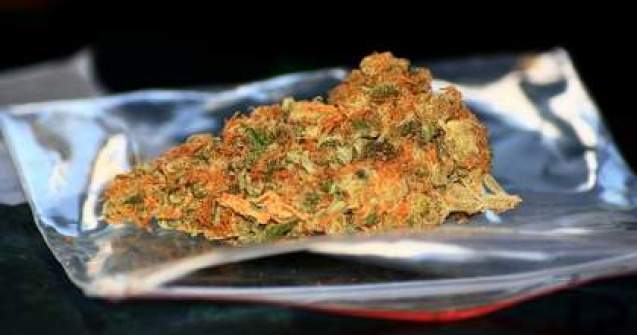 Sulfina Barbu: Etnobotanice reprezinta o problema de siguranta nationala