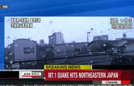 Japonia: Cutremur de 7.1