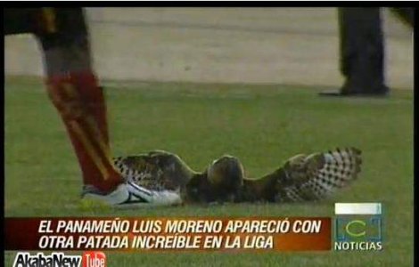  Video  Suteaza in tot ce prinde: minge, pasari, oameni