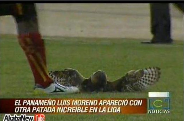 [VIDEO] Suteaza in tot ce prinde: minge, pasari, oameni