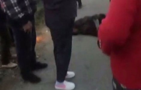 Valcea: Cadavrul unei femei a stat mai bine de o ora pe trotuar, pentru ca autoritatile nu s-au inteles cine sa ridice trupul neinsufletit