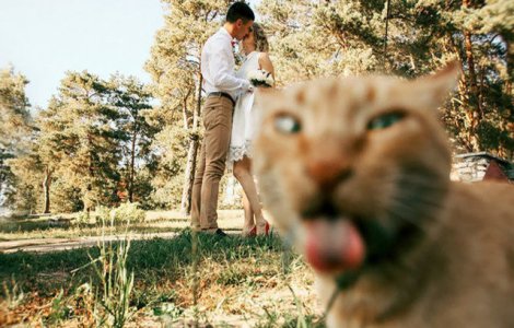  Top  10 poze de nunta care te vor face sa razi cu lacrimi