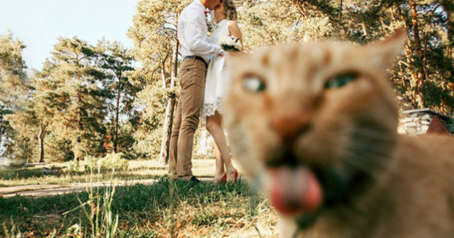  Top  10 poze de nunta care te vor face sa razi cu lacrimi