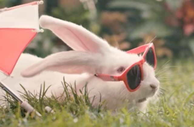 Guvernul conservator polonez isi indeamna cetatenii sa se inmulteasca ca iepurii