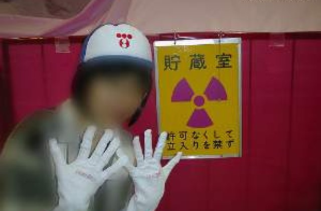 6 mituri spulberate despre centrala Fukushima