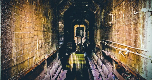 A murit unul dintre minerii raniti in explozia de la Mina Uricani