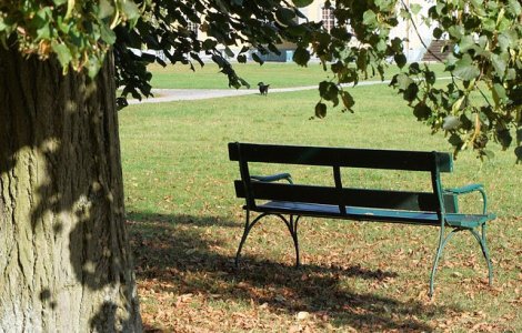 Cadavrul unui barbat in varsta de 27 de ani, gasit dezbracat in Oradea