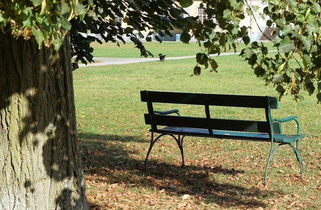 Cadavrul unui barbat in varsta de 27 de ani, gasit dezbracat in Oradea