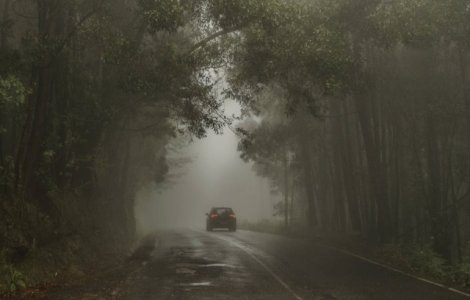 Cod GALBEN de ceata in zece judete