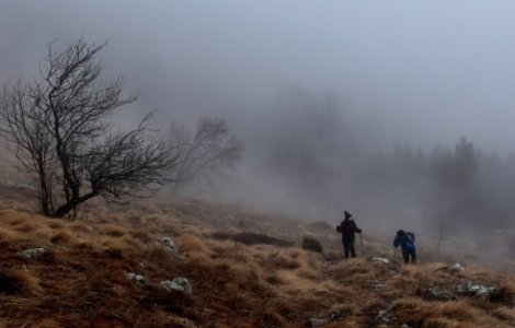 Vizibilitate redusa pe mai multe drumuri! Meteorologii au emis cod galben de ceata si vant