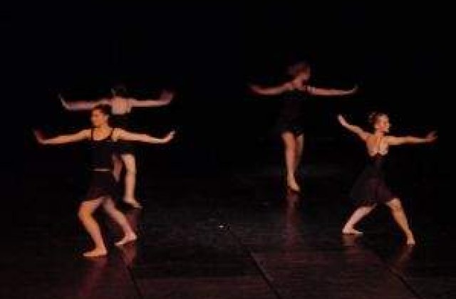 Limbajul universal al dansului