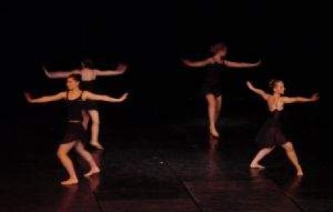 Limbajul universal al dansului