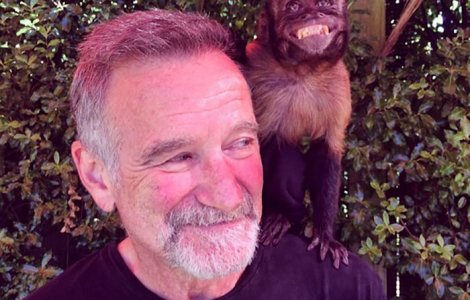  Top  Ultimele fotografii! 10 imagini in care vedetele au fost vazute in viata pentru ultima data