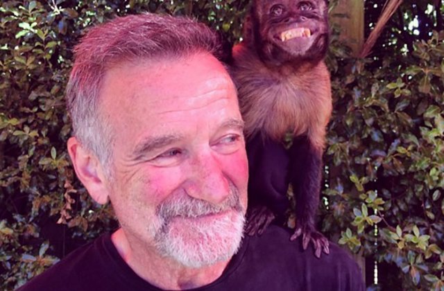 Ultimele fotografii! 10 imagini in care vedetele au fost vazute in viata pentru ultima data