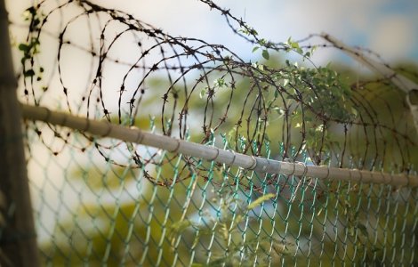 Senatul a adoptat tacit proiectul prin care detinutii scapa de inchisoare dupa ce ispasesc jumatate din pedeapsa