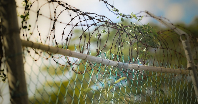 Senatul a adoptat tacit proiectul prin care detinutii scapa de inchisoare dupa ce ispasesc jumatate din pedeapsa