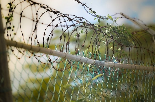 Senatul a adoptat tacit proiectul prin care detinutii scapa de inchisoare dupa ce ispasesc jumatate din pedeapsa