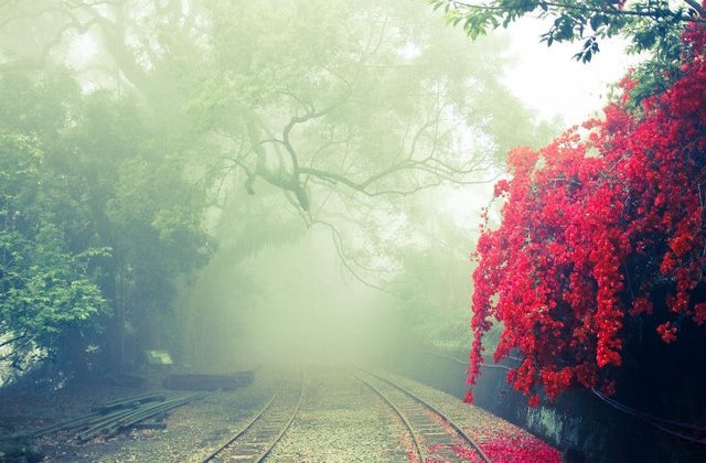 Vizibilitate redusa, izolat ploi slabe sau burnita. Meteorologii au emis cod GALBEN de ceata