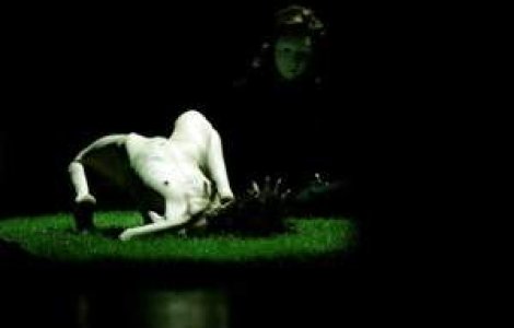 Emotii la Centrul National al Dansului Contemporan