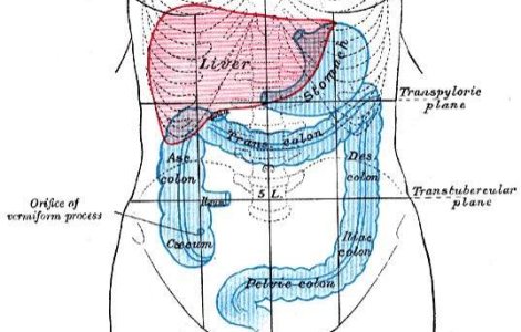  Top  Ghidul digestiei perfecte: Cateva sfaturi utile pentru calmarea problemelor digestive