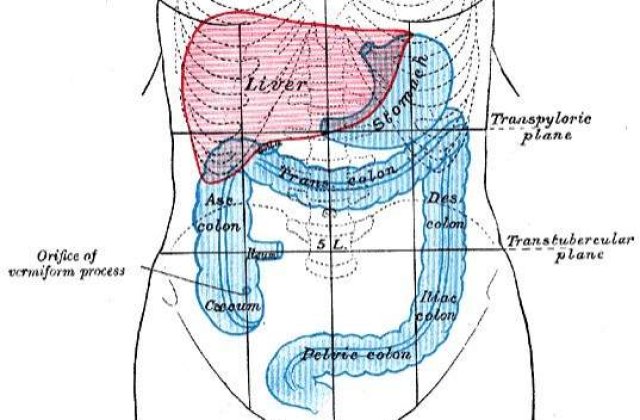 Ghidul digestiei perfecte: Cateva sfaturi utile pentru calmarea problemelor digestive