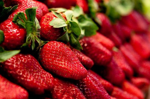 Zeci de romani, sclavi pe o plantatie de capsuni din Grecia