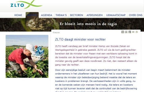 Fermierii olandezi vor permise de munca pentru romani